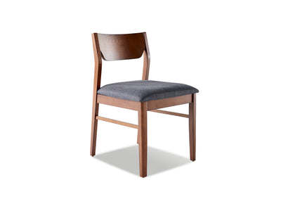 Lenard Side Chair - Smoke