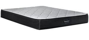 Beautyrest Ultra Newton Firm Queen Mattress