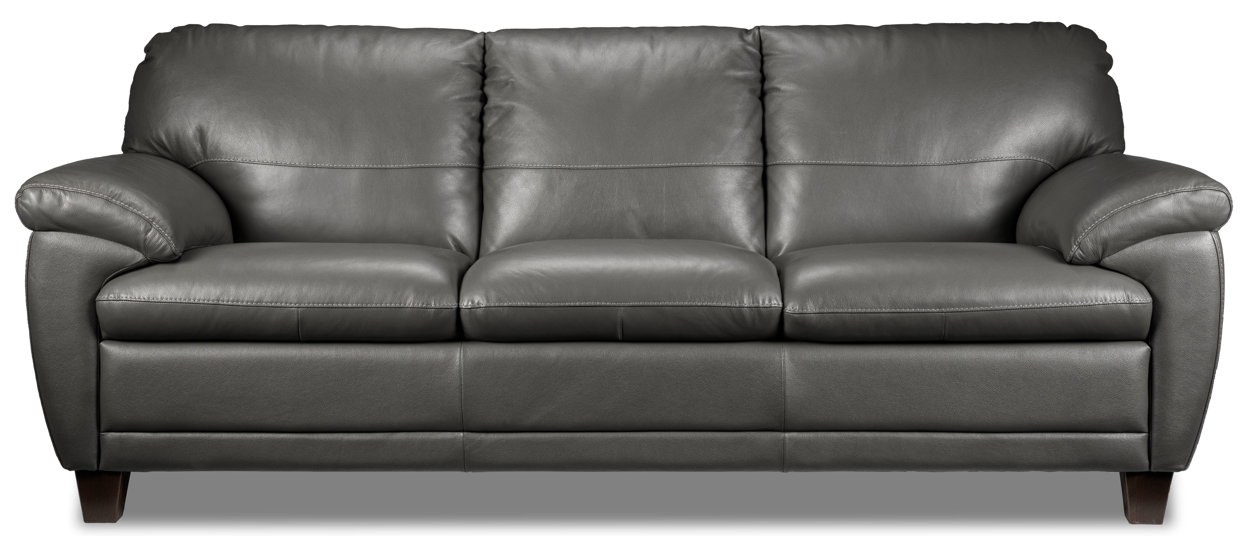 Leons on sale leather couch