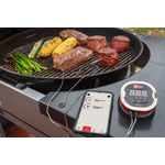 Weber iGRILL 2 - 7203