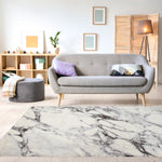 Mirza 7'10" X 10'10" Marble Profile Rug - Cream Grey Area Rug