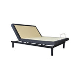 Reflexion Lift Twin XL Head-Up Adjustable Base
