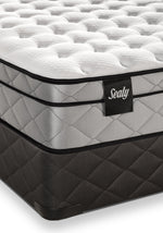 Sealy Shimmery Cushion Firm Twin Mattress and Boxspring Set
