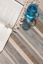 Euclid 3'11" X 5'7" Indoor/Outdoor Banded Rug - Grey Brown  Area Rug