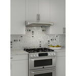 Broan Stainless Steel 36" 450 MAX CFM Under-Cabinet Range Hood - ALT336SS