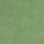 Bahia XV 5' x 7' - Spearmint Green Area Rug