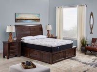 Sealy Posturepedic® Luxury Premium Hybrid Bliss Plush Mattress Collection