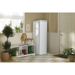Danby White Manual Defrost Upright Freezer (7.1 Cu.Ft.) - DUF071A3WDB