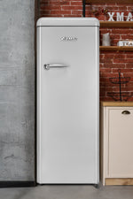 Epic 21.5" Silver Retro All-Refrigerator (9.0 cu. ft.) - ERAR88SVR