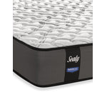 Sealy HD1 Extra Firm Twin Mattress