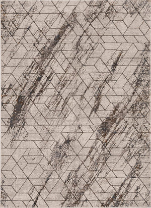 Saamis II Area Rug - 5'3" x 7'7" - Ivory
