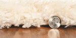 Edziza I Area Rug - 7'10" x 9'10" - Ivory/Grey