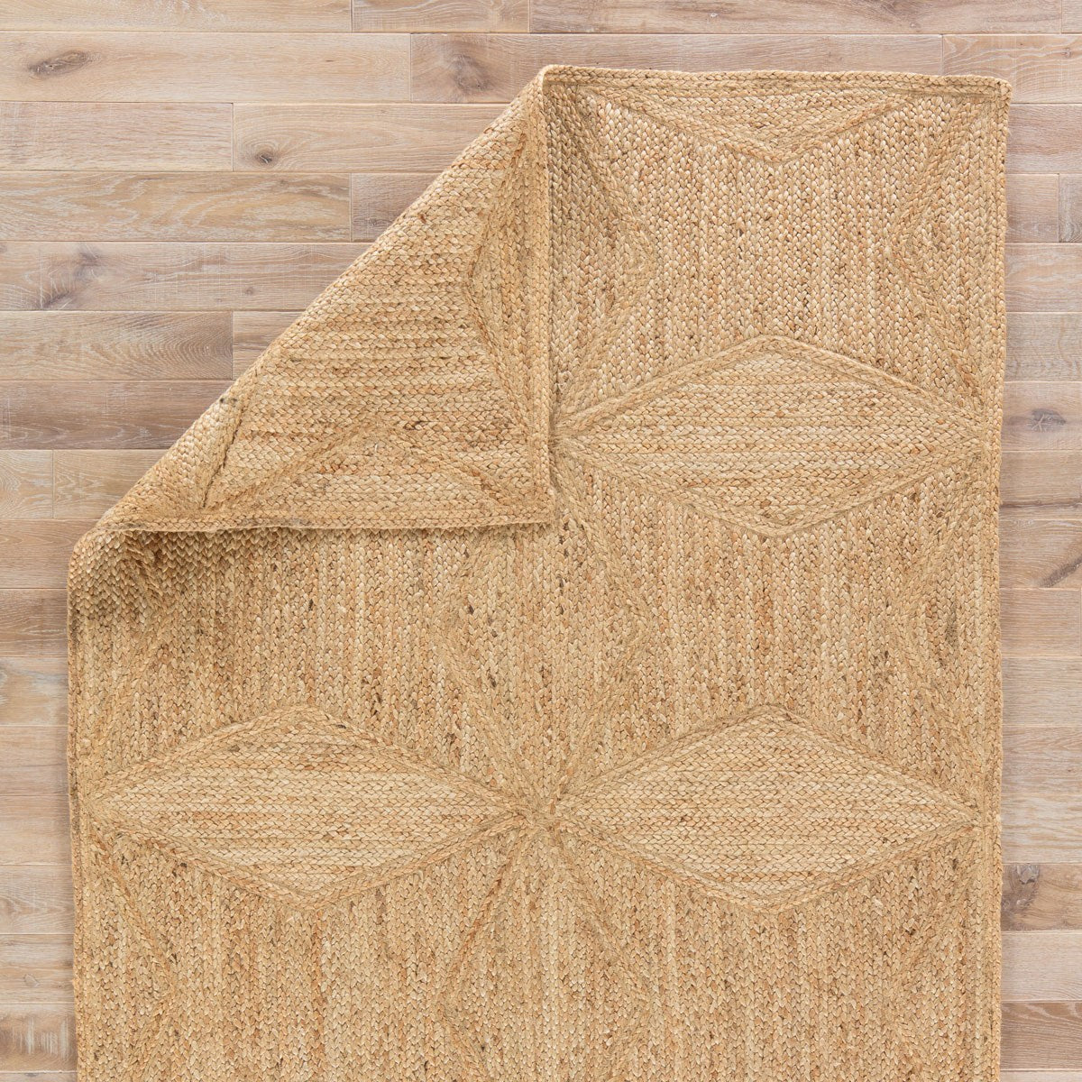Apollonos II Area Rug - 10' X 14' - Beige