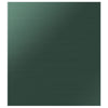 Samsung BESPOKE Emerald Green Steel Dishwasher Panel - DW-T24PNAQG