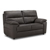 Toscana Leather Loveseat - Dark Grey