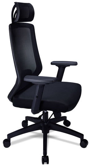 Dinah Ergonomic Office Chair - Graphite