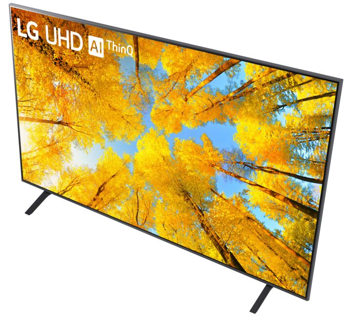 LG 65" 4K LED TruMotion 120 Smart TV - 65UQ7590PUB