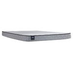 Sealy® Essentials Evan Medium Full Mattress