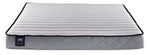 Sealy® Essentials Evan Medium Queen Mattress