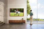 Samsung 65" The Frame 4K UHD QLED Smart TV - QN65LS03AAFXZC