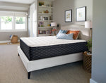 Sealy Narrative Cushion Firm Full  Mattress