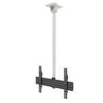 Kanto White Hanging TV Ceiling Mount for 37" to 70" TVs - CM600W