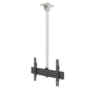 Kanto White Hanging TV Ceiling Mount for 37" to 70" TVs - CM600W
