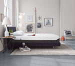 Tempur-Pedic Appeal 2.0 Cushion Firm Queen Mattress