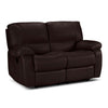 Piermont Reclining Loveseat - Chocolate