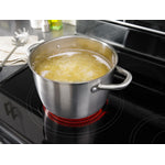 Whirlpool Stainless Steel Electric Double Range (6.7 Cu. Ft.) - YWGE745C0FS