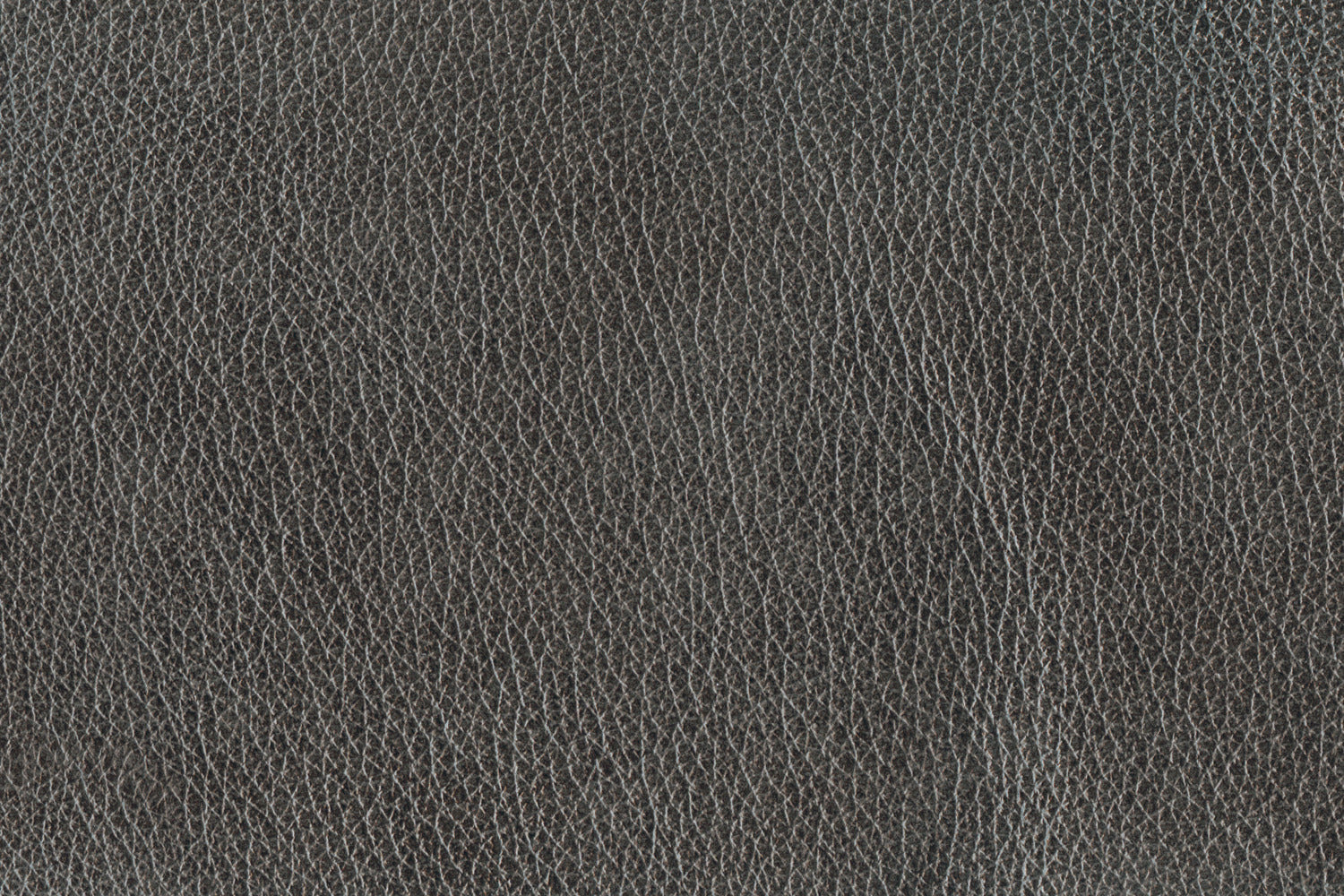 Stampede Leather Chair - Charcoal