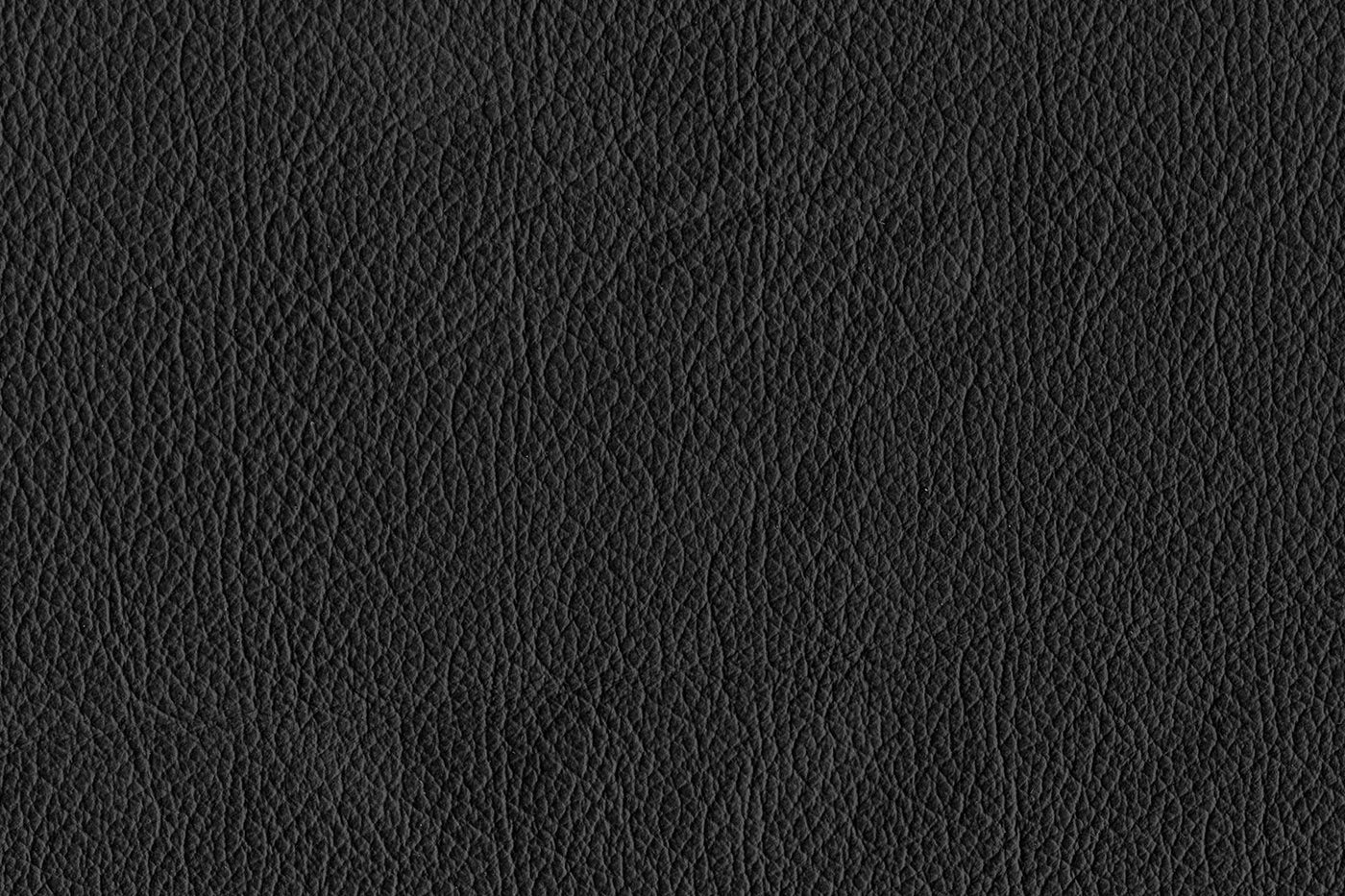Reynolds Leather Sofa - Black