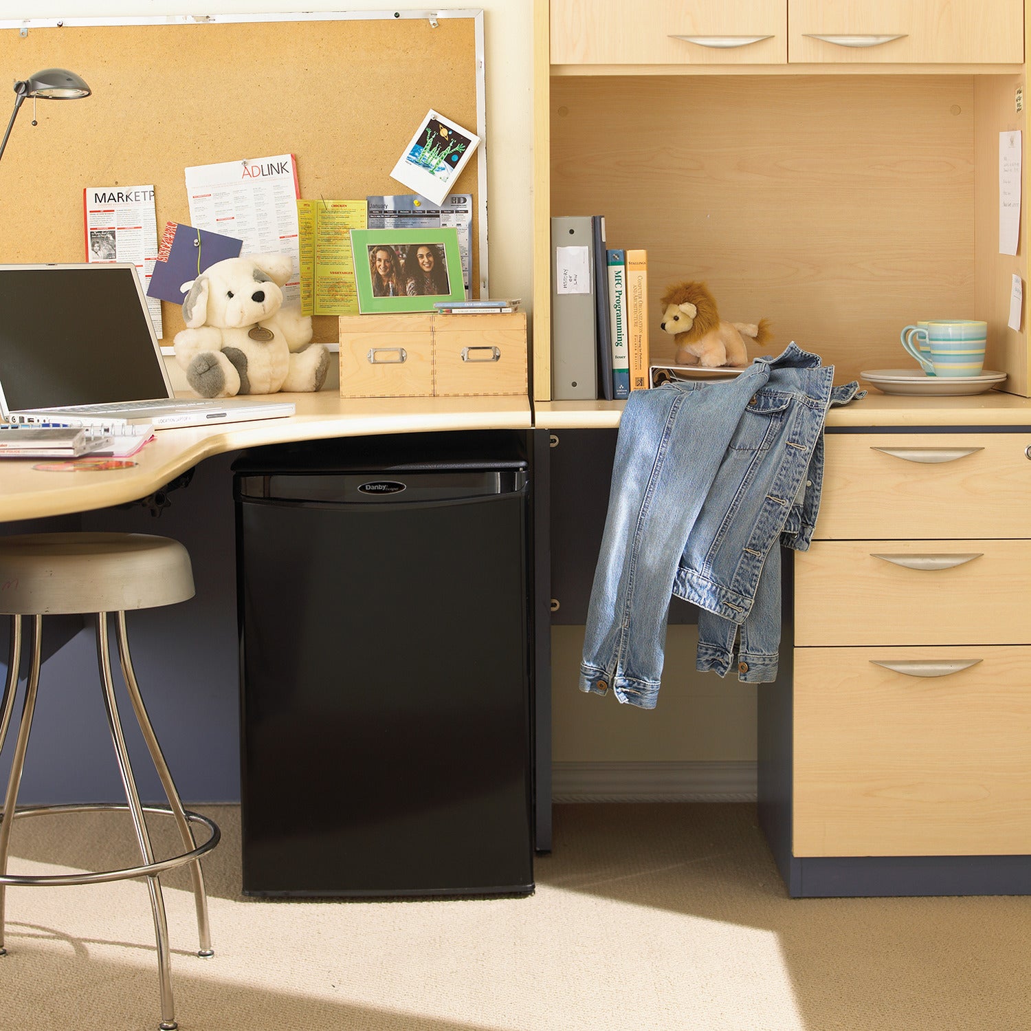 Danby Black Compact Refrigerator (2.6 cu. ft.) - DAR026A1BDD