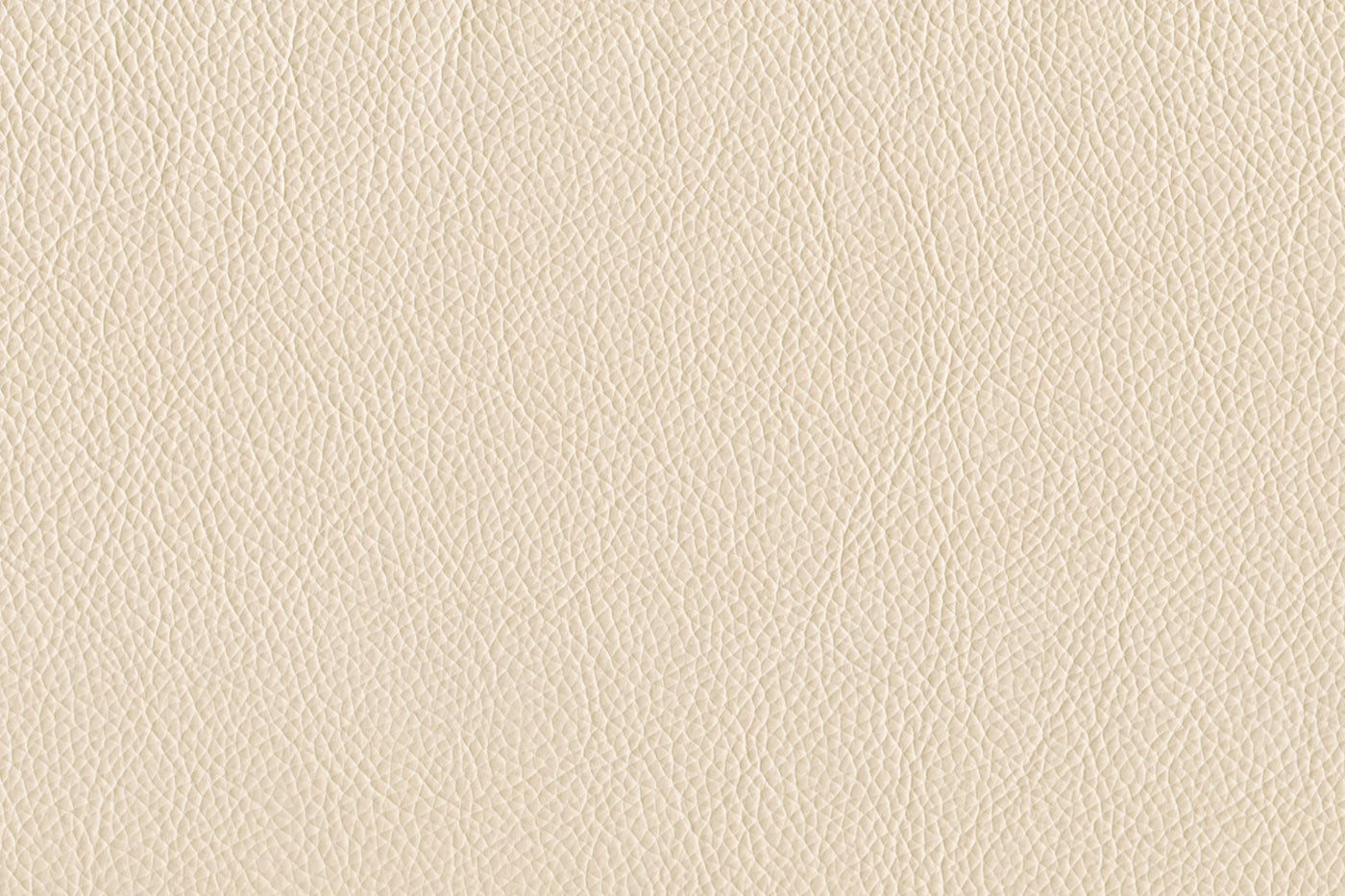 Braylon Leather Chair - Bisque