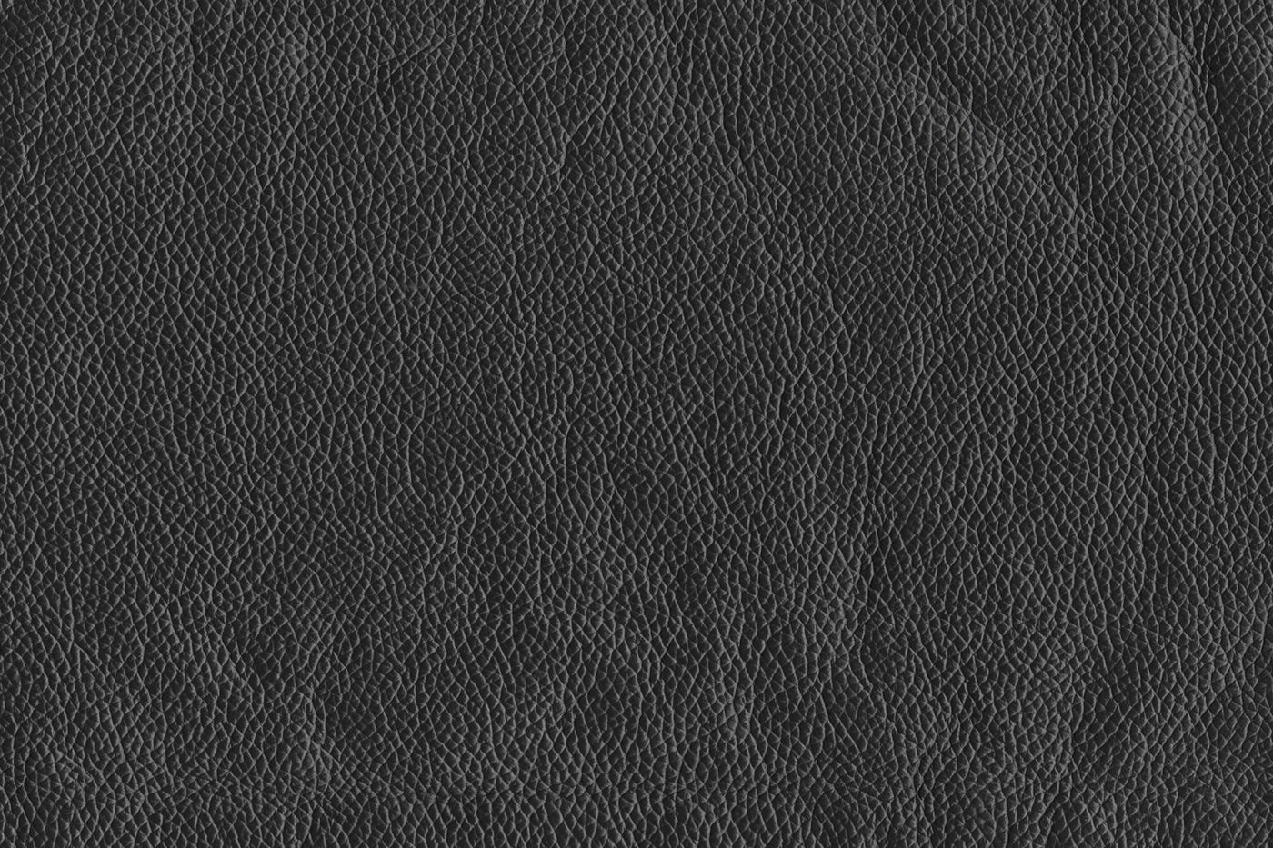 Braylon Leather Chair - Classic Black