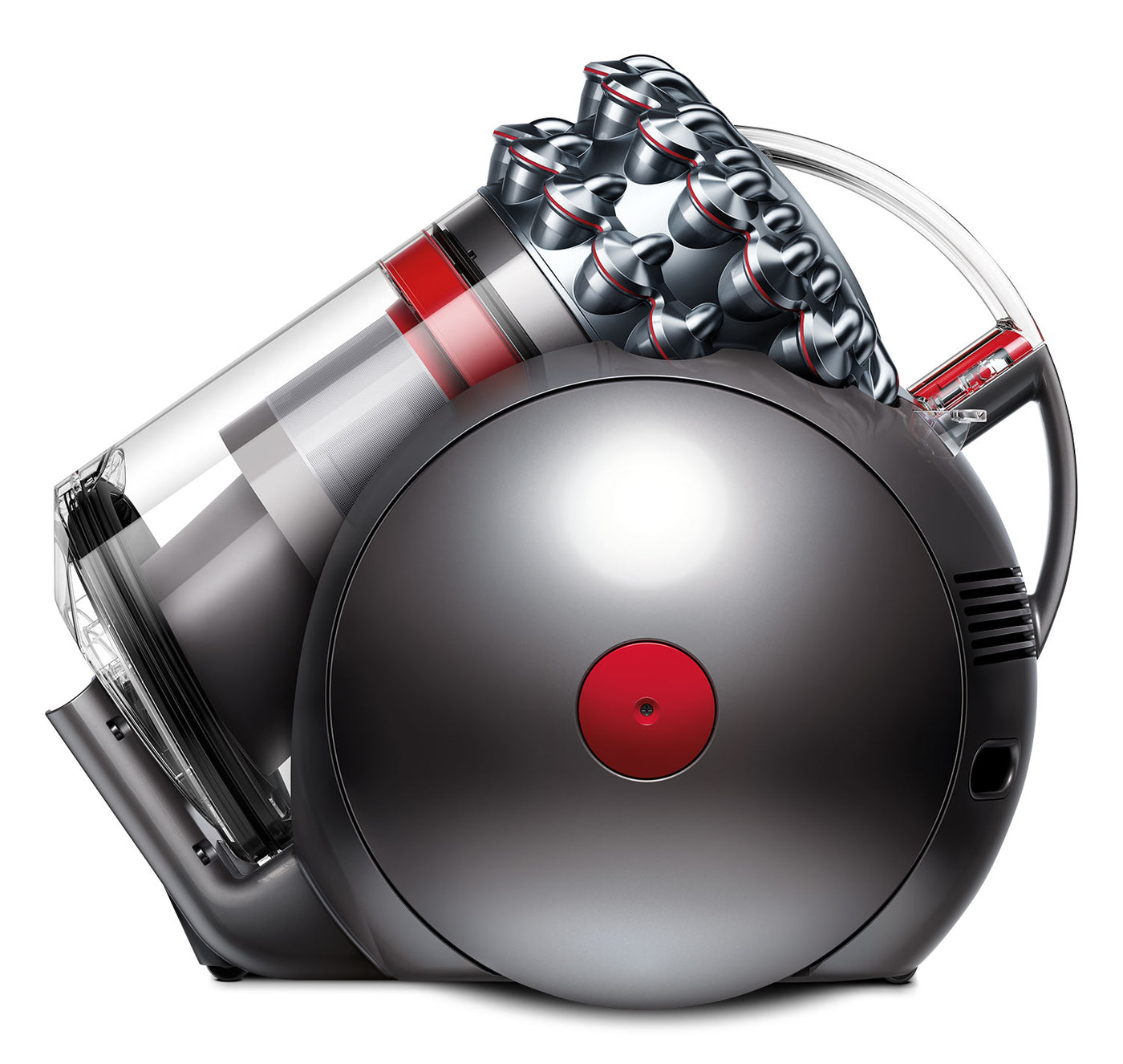 Dyson Big Ball Animal Vacuum Leon's