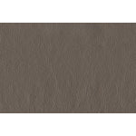 Braylon Leather Loveseat - African Grey