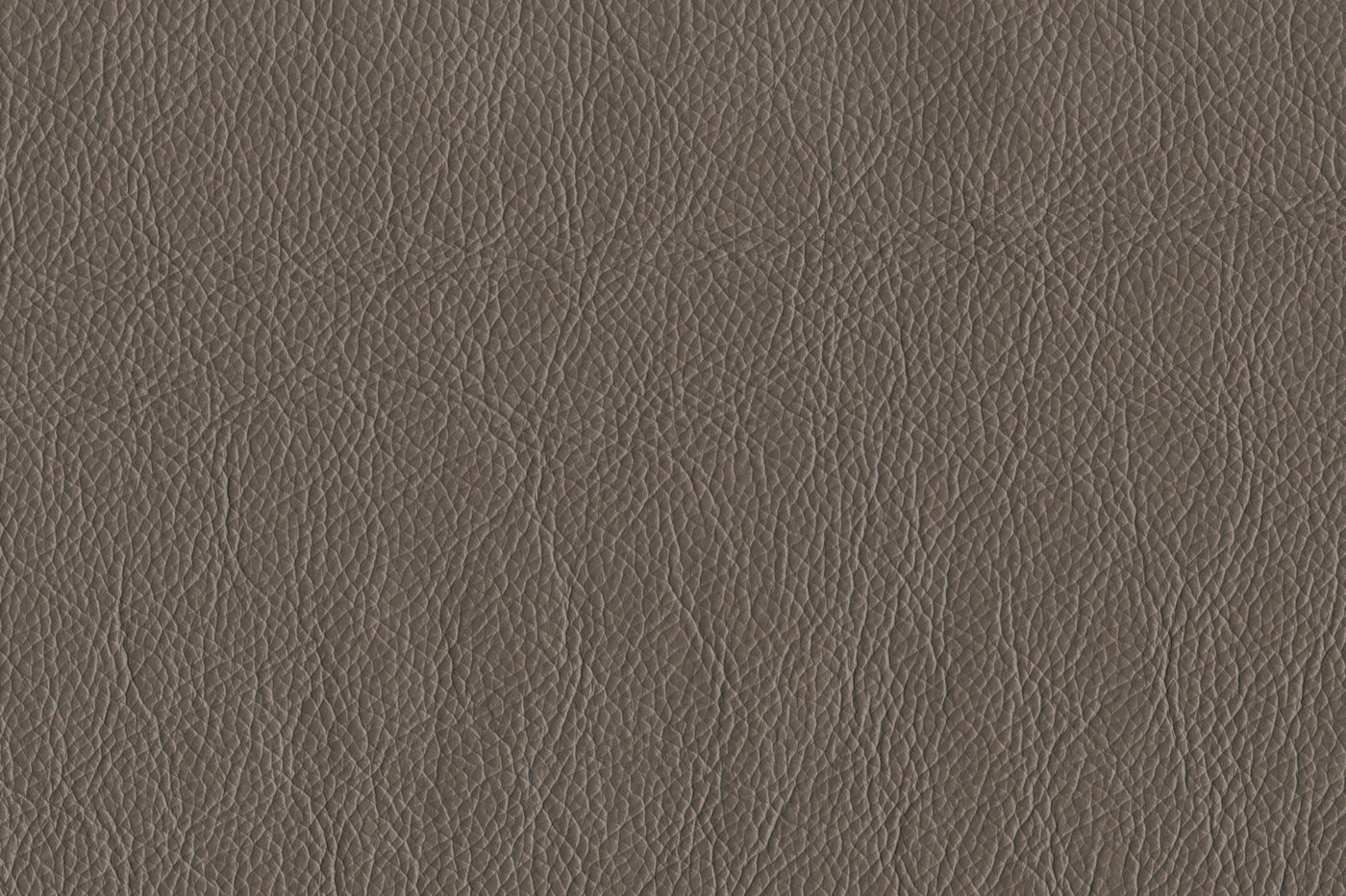 Braylon Leather Loveseat - African Grey