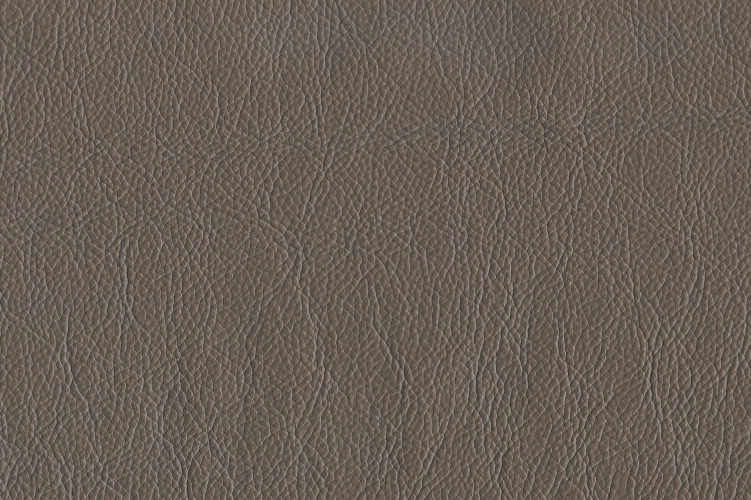 Braylon Leather Sofa - African Grey