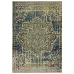 Richelieu W6649HL Distressed Traditional Area Rug (3'10"X5'5")