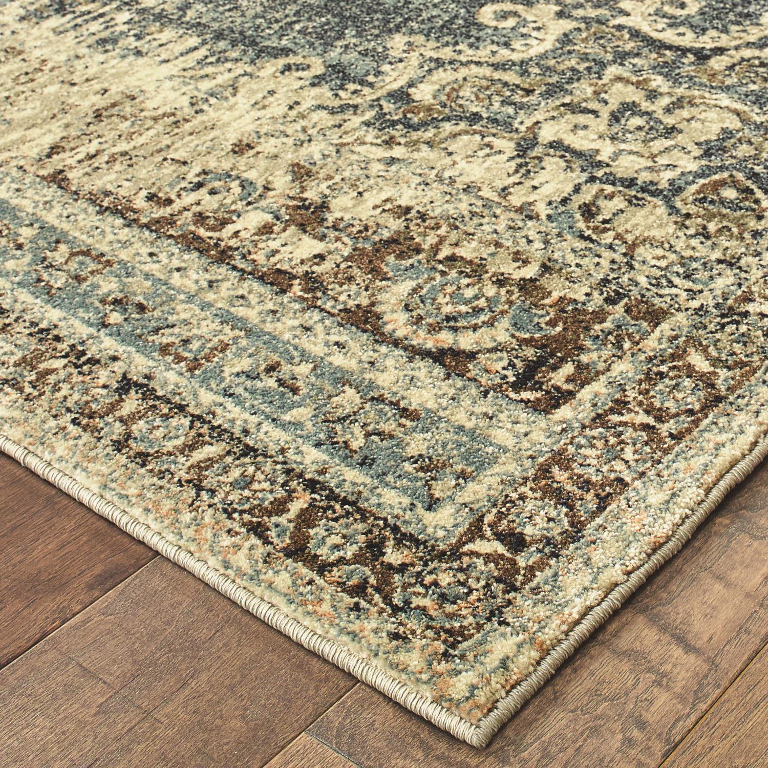 Richelieu W6649HL Distressed Traditional Area Rug (3'10"X5'5")