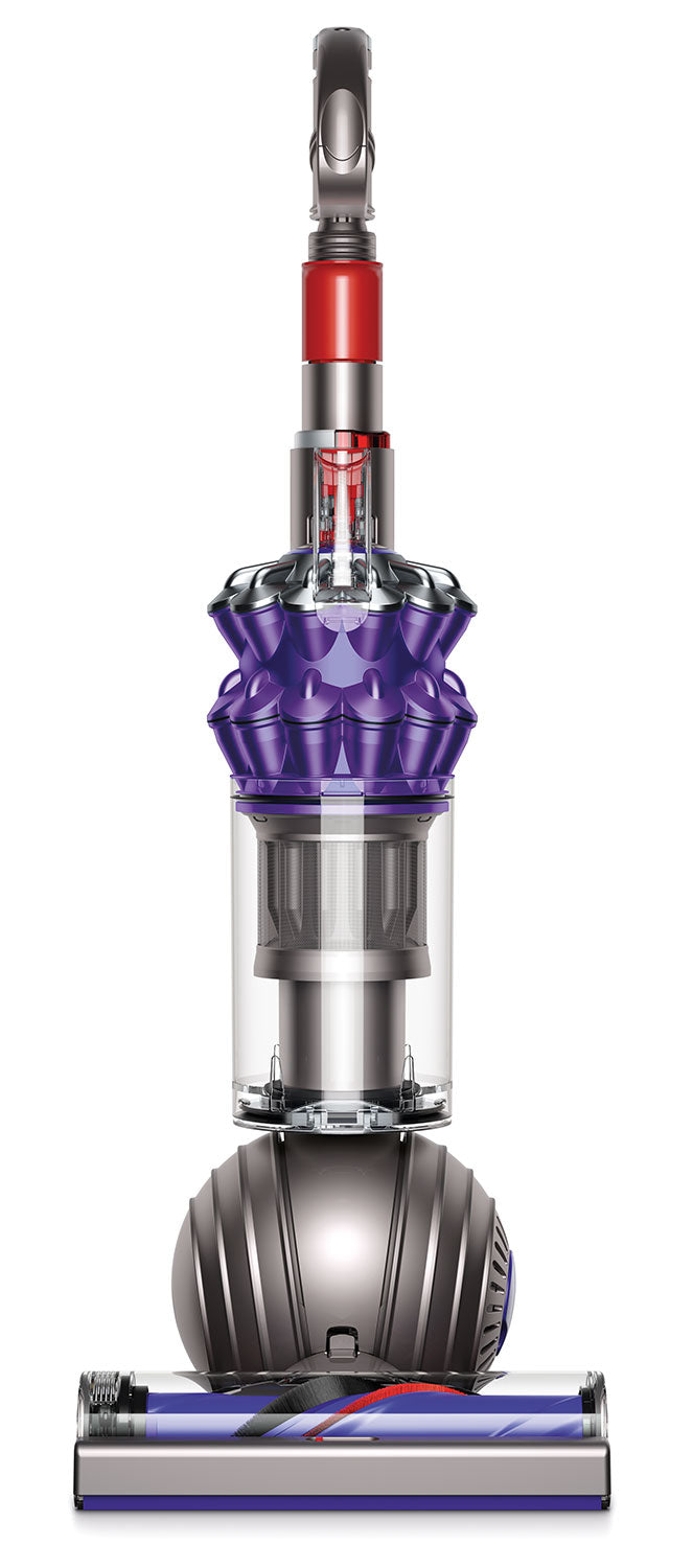 Dyson Compact Upright Vacuum - Small Ball | Leon's