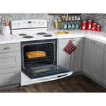 Amana White Freestanding Electric Range (4.8 Cu. Ft.) - YACR4303MFW