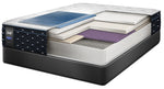 Sealy Familiar Firm Twin Mattress
