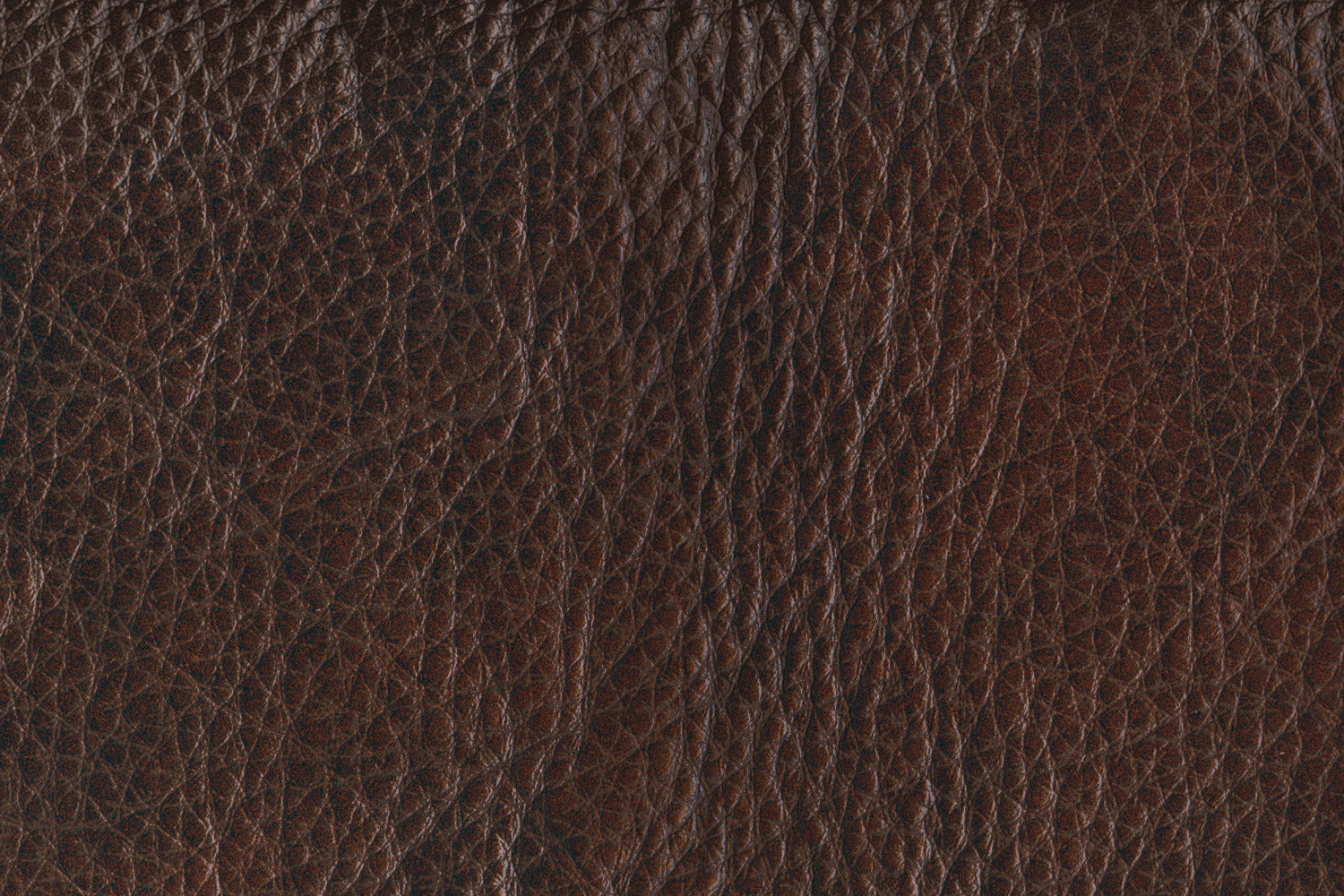 Stampede Leather Loveseat - Coffee