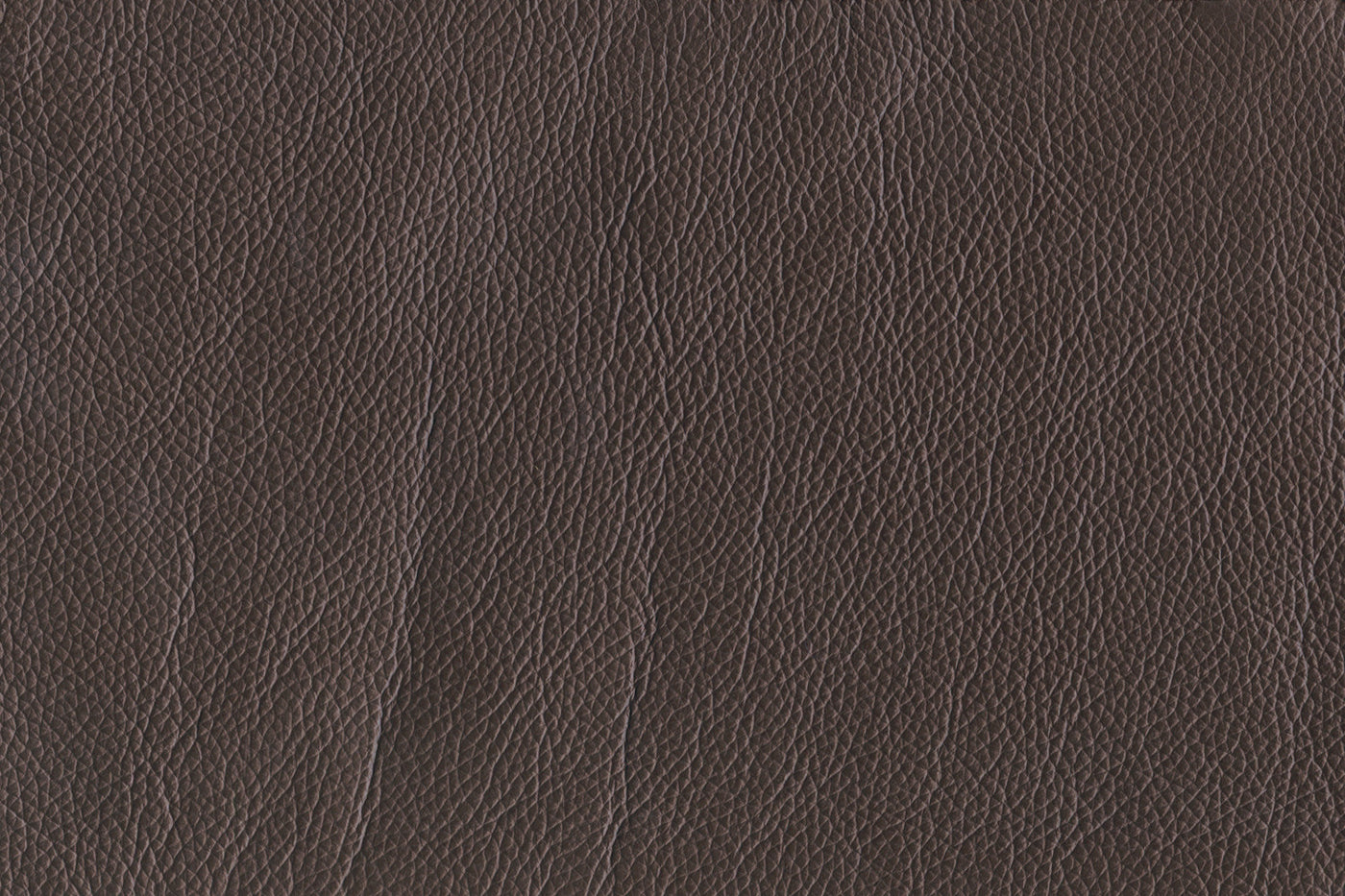 Braylon Leather Chair - Dark Chocolate
