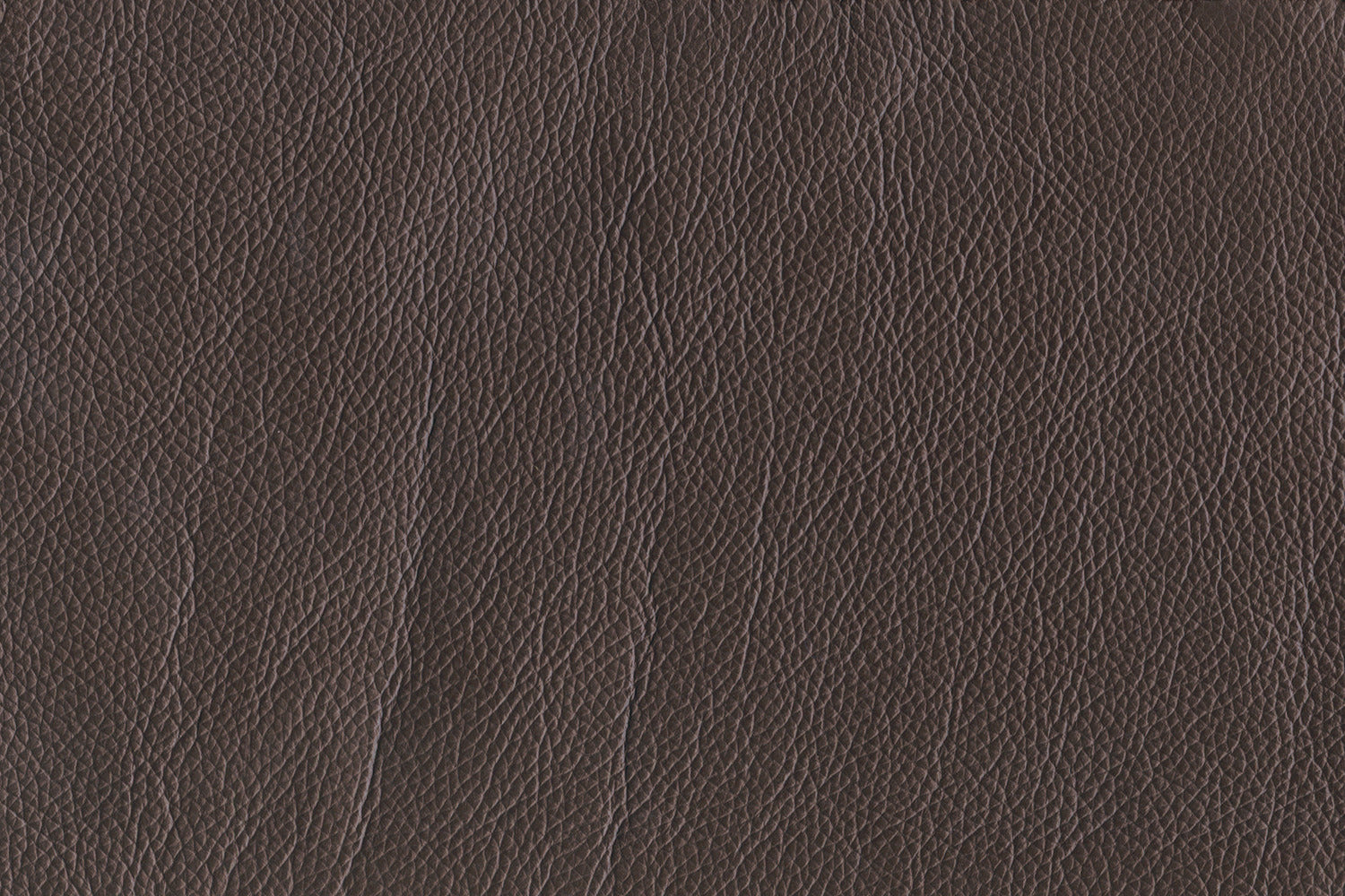 Braylon Leather Chair - Dark Chocolate