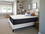Sealy Familiar Firm Twin Mattress